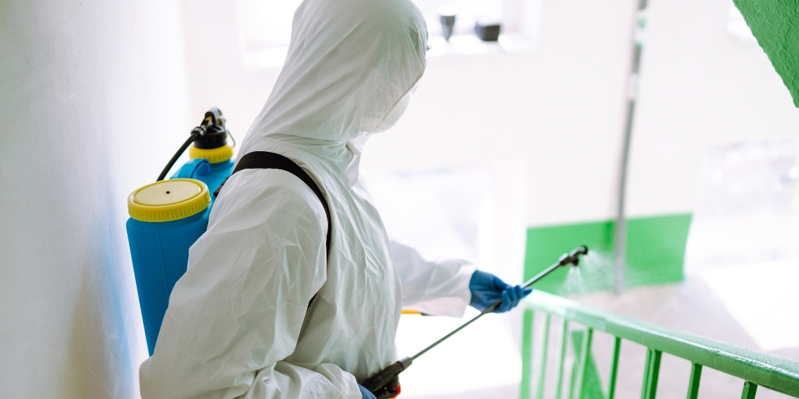 Böcek İlaçlama ve Dezenfeksiyon