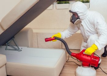 Mardin Fare İlaçlama